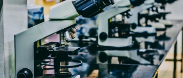 Event-Image for 'EndoWeek &ndash; Forschung und Innovation bei Endometriose'