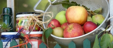 Event-Image for 'Bachser Apfel&mdash;Sonntag 2026'