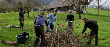 Event-Image for 'Natur Verbindet &ndash;Feierabend-Einsatz f&uuml;rs Wiesel'