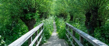 Event-Image for 'Hirschen-Plauderei &laquo;Br&uuml;cken in meinem Leben&raquo;'