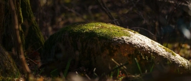 Event-Image for 'Hirschen-Plauderei &laquo;Licht und Schatten&raquo;'