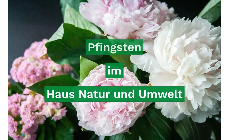 Event-Image for 'Pfingsten im Haus Natur und Umwelt'