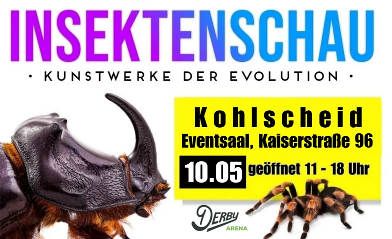 Insektenschau - Kunstwerke der Evolution