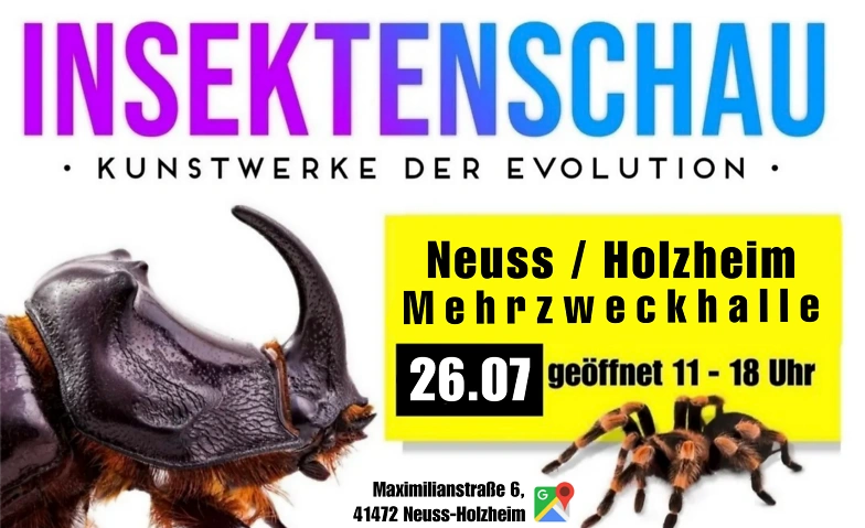Insektenschau - Kunstwerke der Evolution