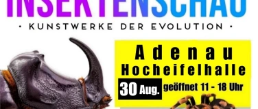 Event-Image for 'Insektenschau - Kunstwerke der Evolution'