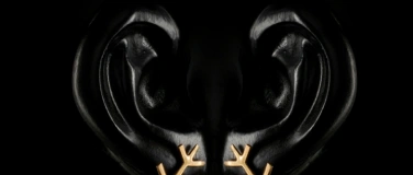 Event-Image for 'FORMA Workshop: Schmuckgestaltung in Wachs'