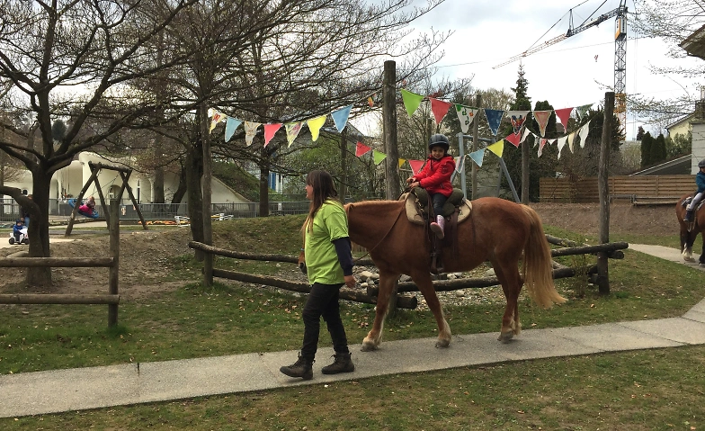 Ponyreiten Tickets