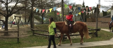 Event-Image for 'Ponyreiten'