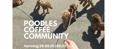 Event-Image for 'Pudeltreff - Poodle Social & Walk'