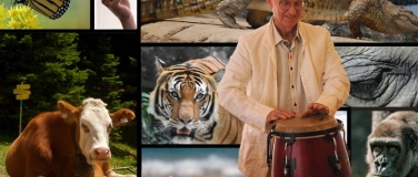 Event-Image for 'Klanglandschaft der Haut'