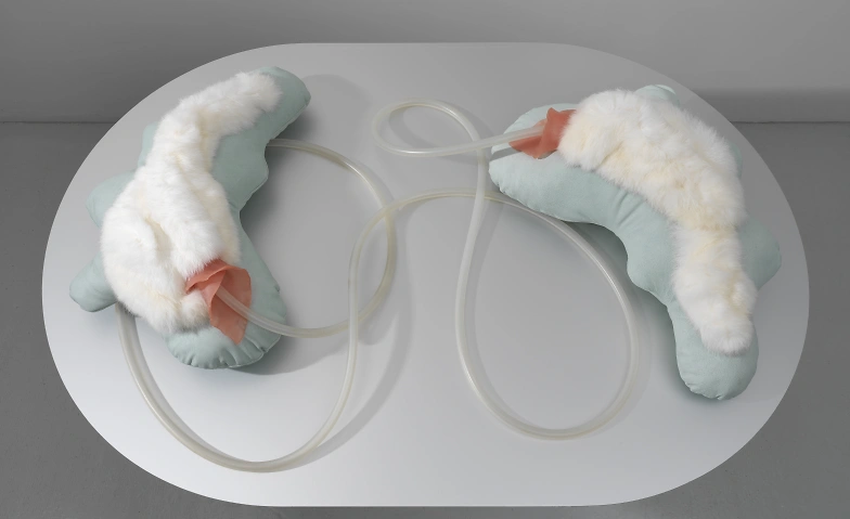 Renata Borer – Werke 2015-2026