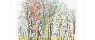 Event-Image for 'Exposition artistique - D&eacute;licatesses foresti&egrave;res'