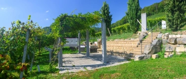 Event-Image for 'Weintavolata: Der Bacchus und seine Gel&uuml;ste'