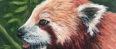Event-Image for 'Kleine rote Pandas - Acrylmalerei Themenabend'
