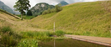 Event-Image for 'Yoga Sp&auml;tsommer-Retreat &ndash; 27.&ndash;30. August 2026 (Do&ndash;So)'
