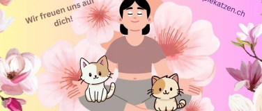 Event-Image for 'KittenYoga'