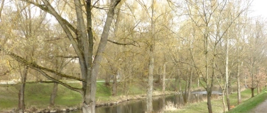 Event-Image for 'An der Saale entlang - Meditativer Spaziergang in Hof'
