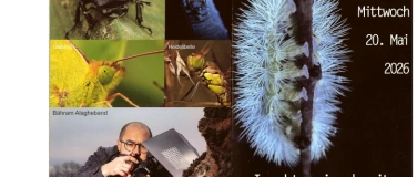 Event-Image for 'Insektenpirsch mit B&auml;hram Alagheband'