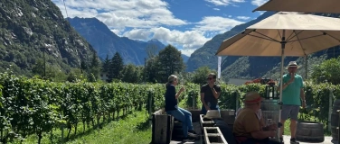 Event-Image for 'Weintavolata: Cantina Settemaggio'