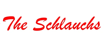 Organisateur de 20 Jahre The Schlauchs - Jubil&auml;umskonzert