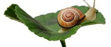 Event-Image for 'Ganzheitliches Entschleunigungs- Coaching'
