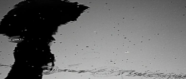 Event-Image for 'Orgelgewitter 2026 / Sturm und Bach'