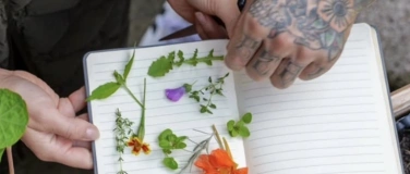 Event-Image for 'Wildkr&auml;uter sammeln und Pilzzucht F&uuml;hrung'