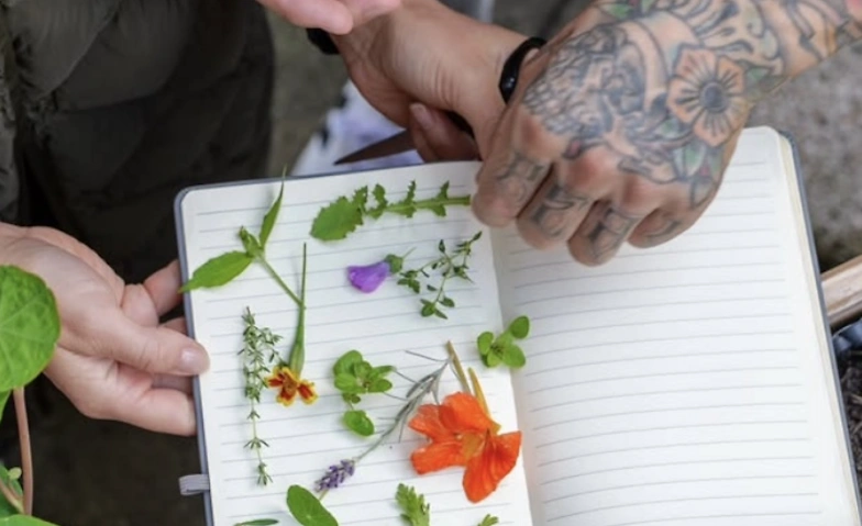 Wildkräuter sammeln und Pilzzucht Führung