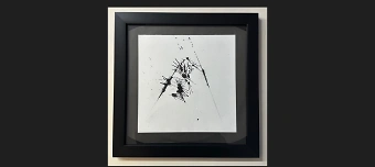 Organisateur de Monster Groove 2026