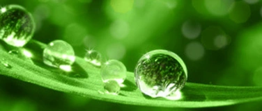 Event-Image for 'QuantumRegenesis Basiskurs'