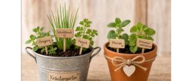 Event-Image for 'Kr&auml;uterg&auml;rtli herstellen'