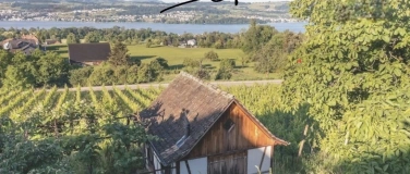 Event-Image for 'Weinf&uuml;hrung und Degustation (@JET-Wein) f&uuml;r Singles 35 - 52'