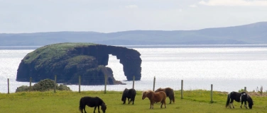 Event-Image for 'Sagenhafte Inseln'