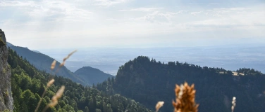Event-Image for 'Exkursion am Bettlachstock'