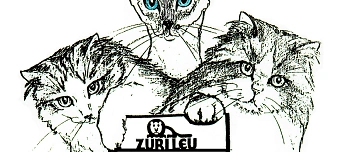 Organisateur de Int. Katzenausstellung