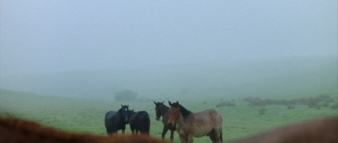 Event-Image for 'Film: SILENT OBSERVERS &ndash; STILLE BEOBACHTER'