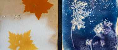 Event-Image for 'Sommerfest: Cyanotypie und Picknick-Konzert mit Luis Aellig'
