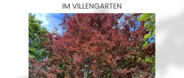 Event-Image for 'Sommerlekt&uuml;re im Villengarten'