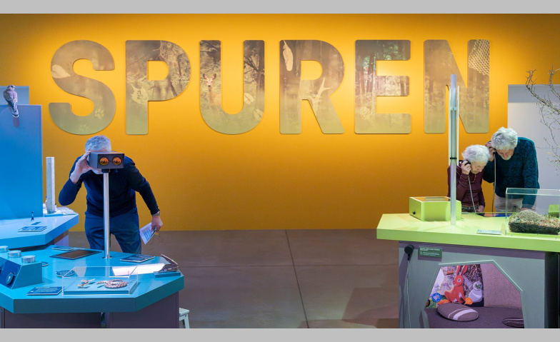 Sonderausstellung: Spuren – Fährten, Frass und Federn