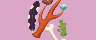 Event-Image for 'Sonderausstellung: Spuren &ndash; F&auml;hrten, Frass und Federn'