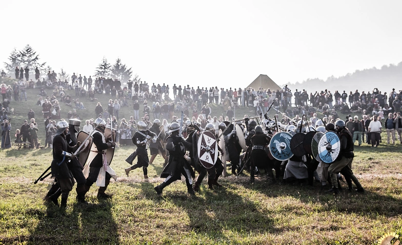 Event-Image for 'Wikinger und Mittelalter Spektakel WUMS'