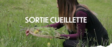 Event-Image for 'Sortie cueillette'