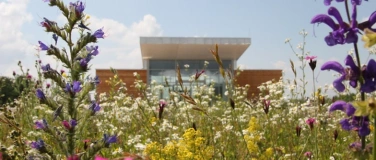 Event-Image for 'Heideabenteuer in den Sommerferien'