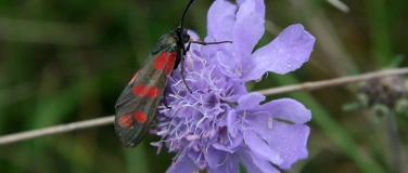 Event-Image for 'Der Natur die Gartent&uuml;re &ouml;ffnen'
