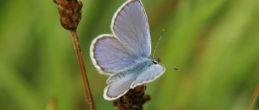 Event-Image for '&Uuml;ber Stock und Kieselstein zur Wolle'