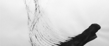 Event-Image for 'Sven B&ouml;siger - Schall, Hauch & Moves'