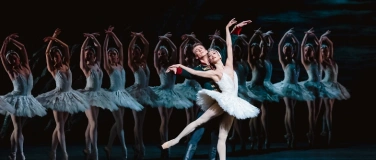 Event-Image for 'Royal Ballet: Schwanensee'