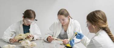 Event-Image for 'Mit forensischer Genetik auf Verbrecherjagd'