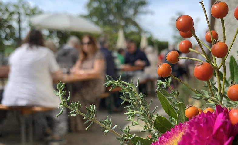 Herbsfest im Weinbaumuseum