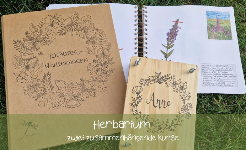 Event-Image for 'Herbarium erstellen mit Anne'